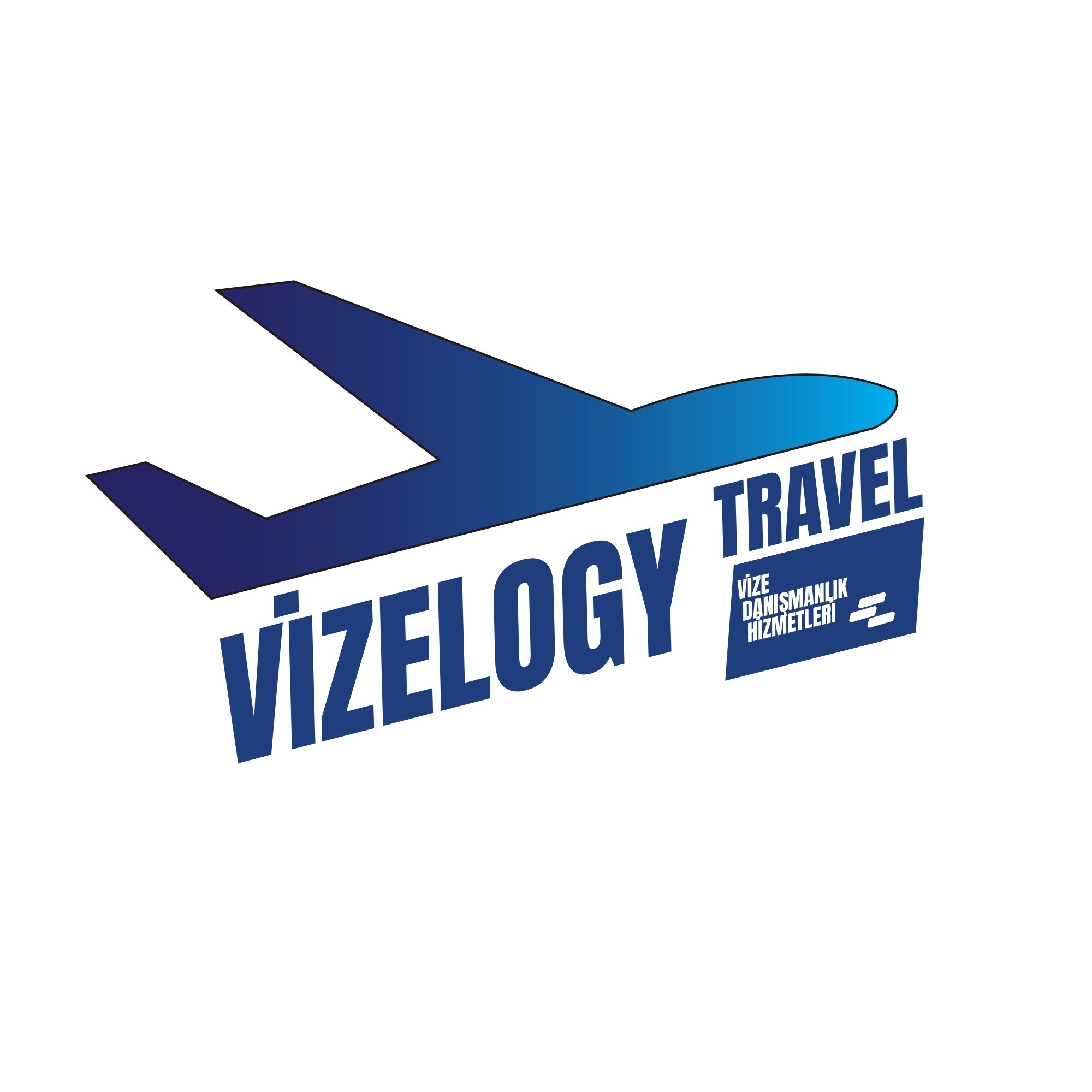 Vizelogy Logo